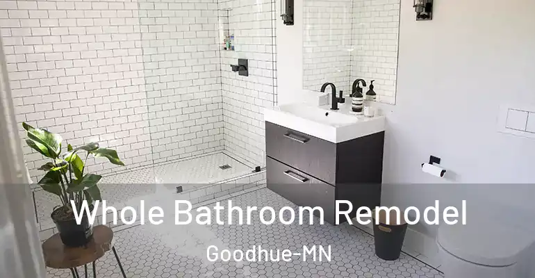 inner Bathroom imggen Whole Bathroom Remodel Goodhue-MN