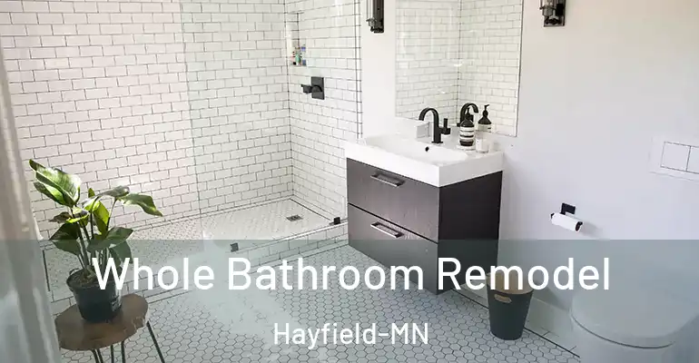 inner Bathroom imggen Whole Bathroom Remodel Hayfield-MN
