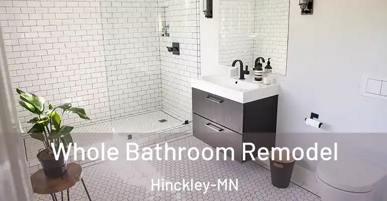 inner Bathroom imggen Whole Bathroom Remodel Hinckley-MN