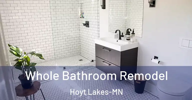 inner Bathroom imggen Whole Bathroom Remodel Hoyt Lakes-MN
