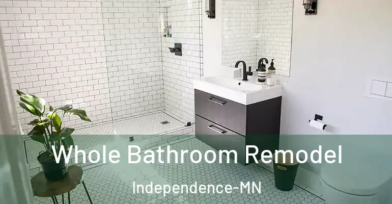 inner Bathroom imggen Whole Bathroom Remodel Independence-MN