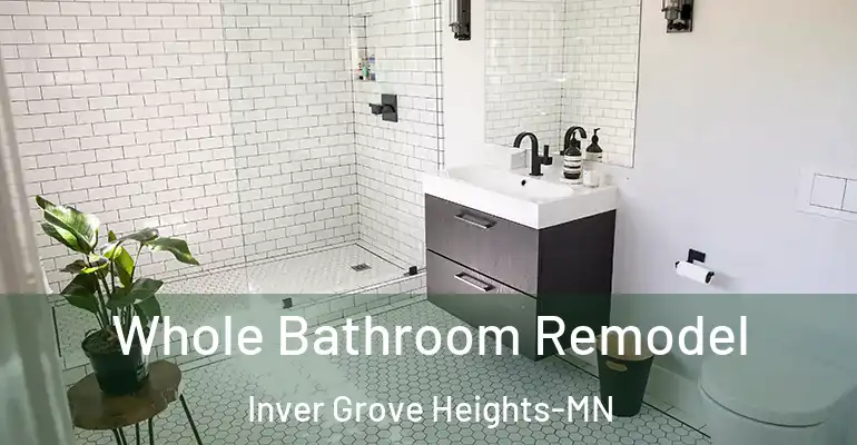inner Bathroom imggen Whole Bathroom Remodel Inver Grove Heights-MN