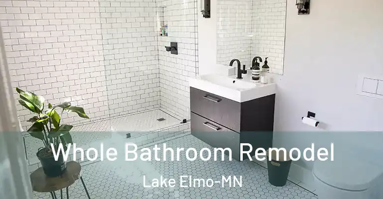 inner Bathroom imggen Whole Bathroom Remodel Lake Elmo-MN