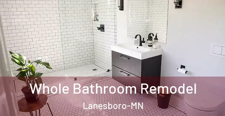inner Bathroom imggen Whole Bathroom Remodel Lanesboro-MN