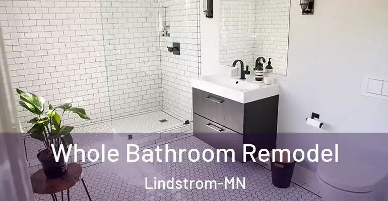 inner Bathroom imggen Whole Bathroom Remodel Lindstrom-MN