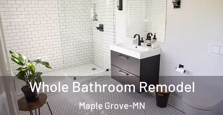 inner Bathroom imggen Whole Bathroom Remodel Maple Grove-MN