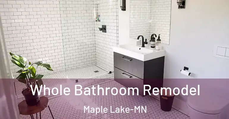 inner Bathroom imggen Whole Bathroom Remodel Maple Lake-MN