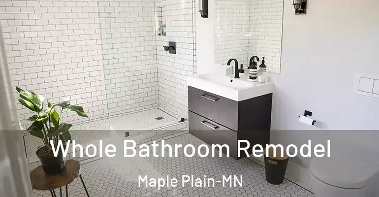 inner Bathroom imggen Whole Bathroom Remodel Maple Plain-MN