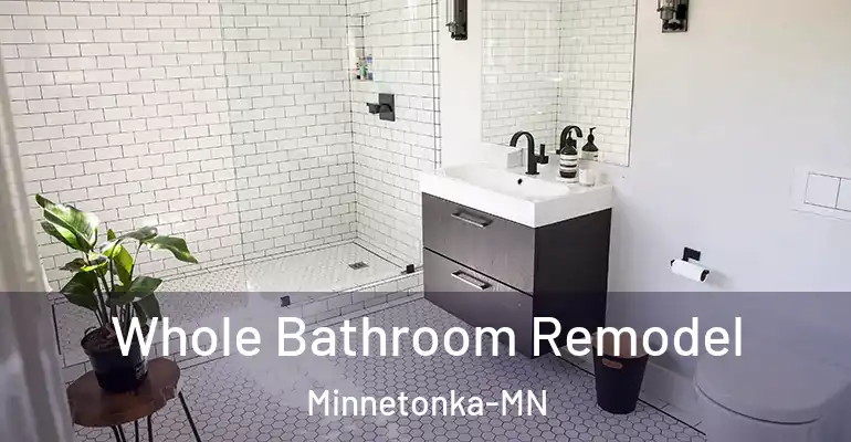 inner Bathroom imggen Whole Bathroom Remodel Minnetonka-MN