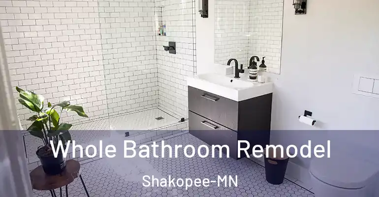 inner Bathroom imggen Whole Bathroom Remodel Shakopee-MN