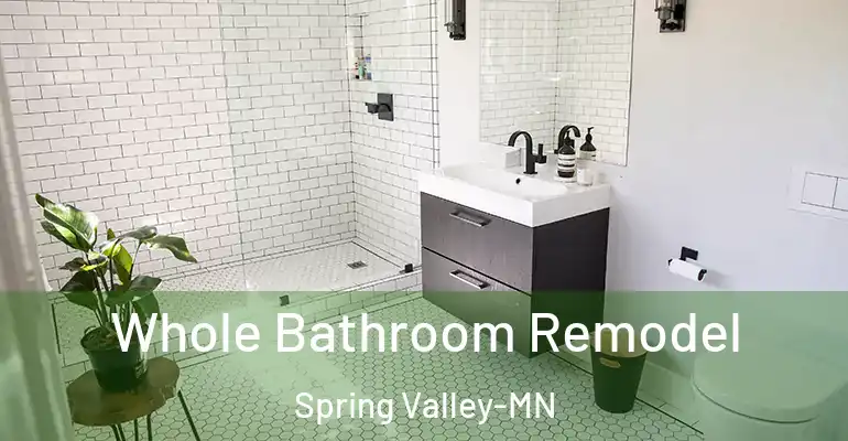 inner Bathroom imggen Whole Bathroom Remodel Spring Valley-MN