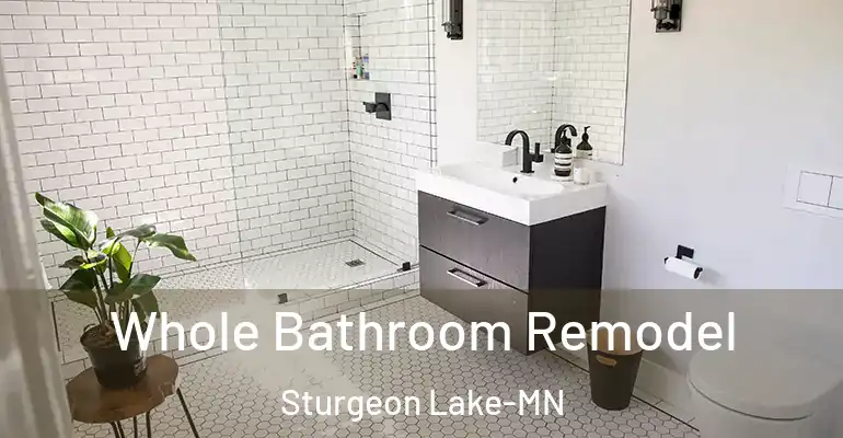 inner Bathroom imggen Whole Bathroom Remodel Sturgeon Lake-MN