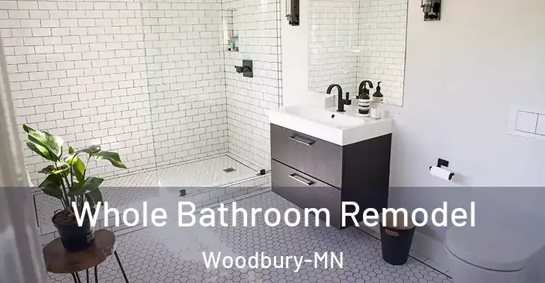 inner Bathroom imggen Whole Bathroom Remodel Woodbury-MN